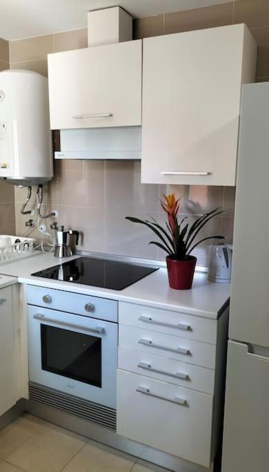 Apartamento Estudio 52 Malaga Centrico Parking Gratuito Exterior foto