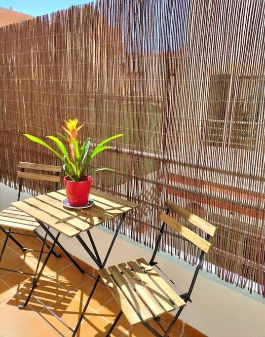 Apartamento Estudio 52 Malaga Centrico Parking Gratuito Exterior foto