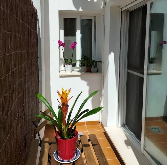 Apartamento Estudio 52 Malaga Centrico Parking Gratuito Exterior foto